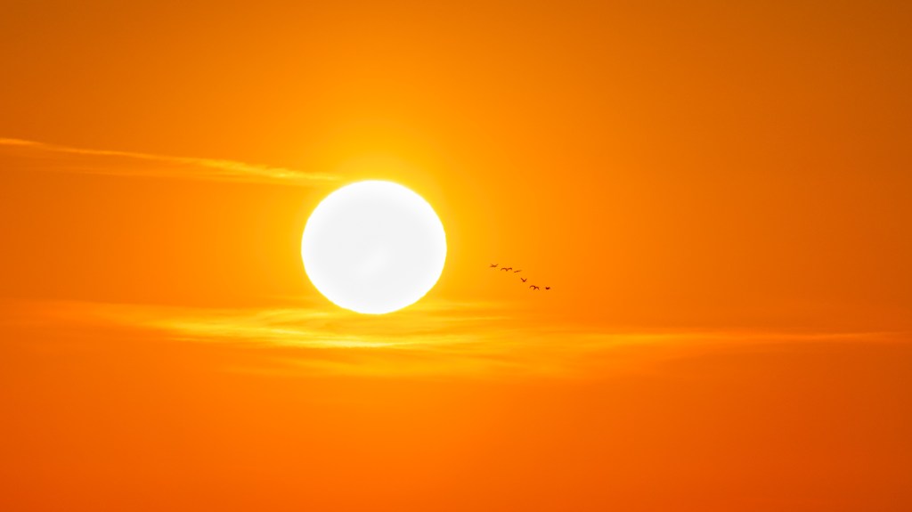 Silence (Martin Scorsese, 2016) “Last Breaths of Christendom In the Land of the Rising&nbsp;Son”