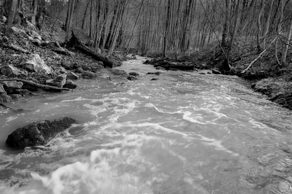 The Nameless God: Ingmar Bergman’s Mythical Tale “The Virgin&nbsp;Spring”