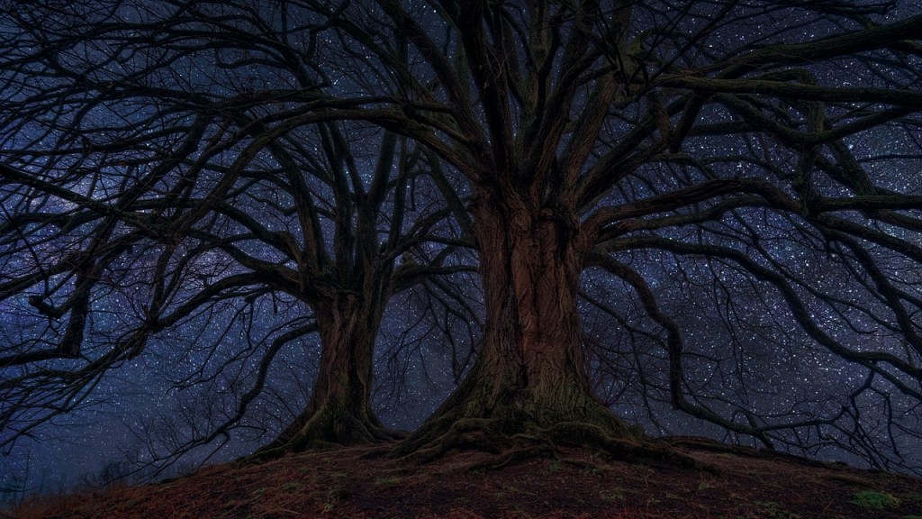 In Federico Fellini’s Words: Movies =&nbsp;Dreams